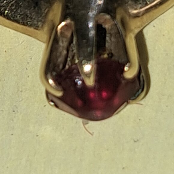 Meet your Posher, Daniel - Picture 4 of 10